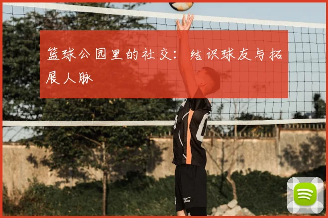 篮球公园里的社交:结识球友与拓展人脉