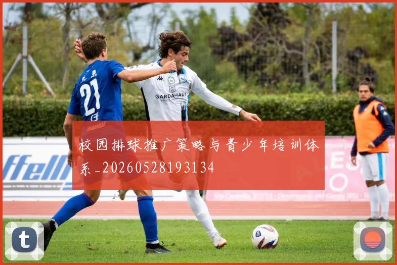校园排球推广策略与青少年培训体系_20260528193134