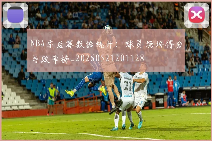 NBA季后赛数据统计：球员场均得分与效率榜_20260521201128